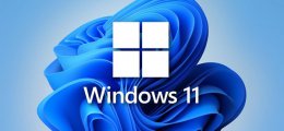 Win11玩游戏闪退解决教程 windows11玩游戏闪退