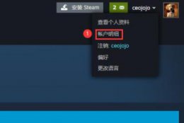 steam国区送阿根廷充值卡 steam土耳其充值卡使用方法