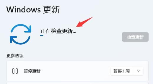 win11分辨率锁死1024×768解决教程