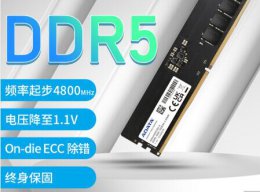 ddr5内存上市价格 ddr5内存价格详细介绍