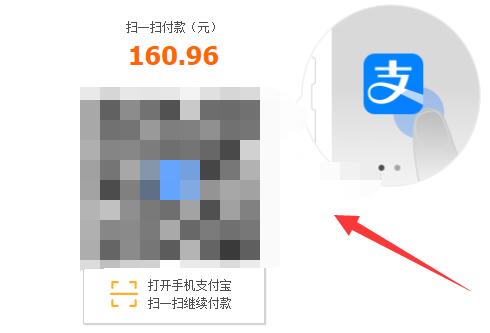 plati平台付款方法