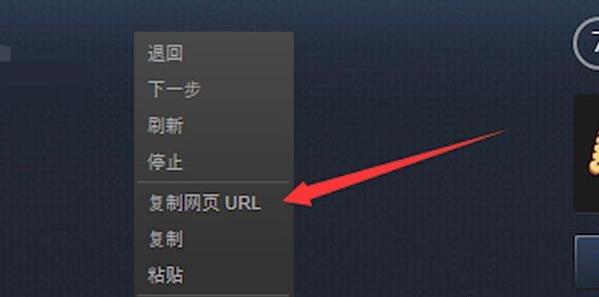 steam个人资料链接在哪里看详细教程