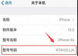 iphone11召回怎么查询 iphone12召回序列号查询方法