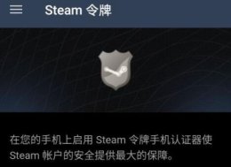 手机版steam密码对了上不去 steam手机版看不了密保解决教程