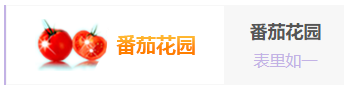 系统之家更好的公司系统介绍