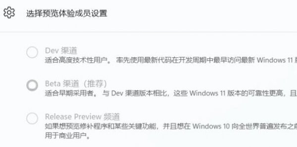 win11体验成员设置方法