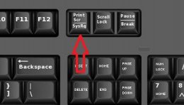 怎么截图 win11截图教程方法