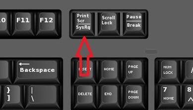 win11截图教程方法