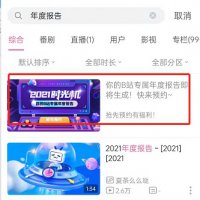 b站年报2020 b站年度报告2021怎么看