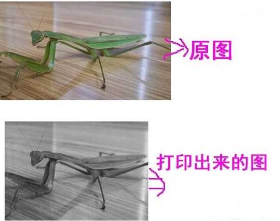 win10打印图片打印不全解决教程