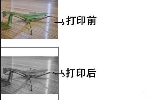 win10打印图片打印不全解决教程