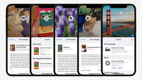 苹果ios15文字识别介绍及使用教程