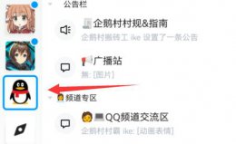 QQ群怎么设置黑名单 qq频道黑名单设置教程