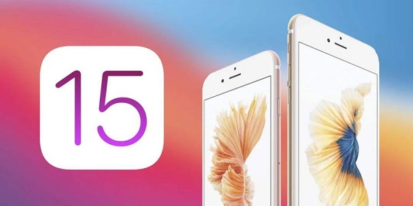 苹果ios15设备管理信任不见了解决教程