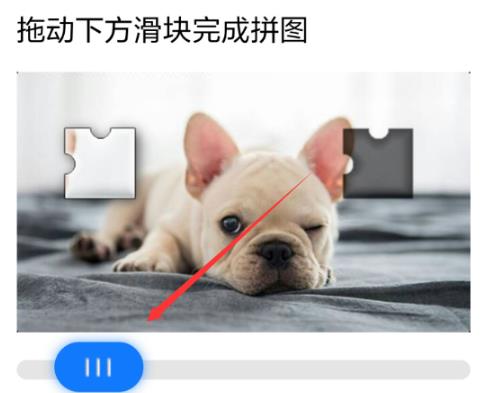 qq忘记密码了找回教程