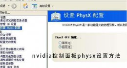 nvidia控制面板physx设置教程 nvidia控制面板设置physx配置