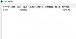 soft是 softcnkiller意思详细介绍