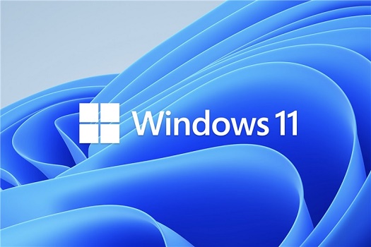 win11外接显示器没反应解决方法