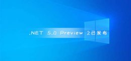 .NET 5.0 Preview 2已发布 预计11月下旬发布到GA