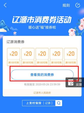 支付宝717消费券查看教程
