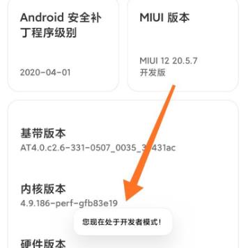 miui12开发者选项打开教程