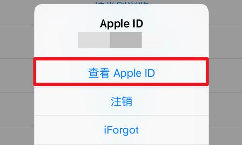itunesstore目前无法处理您的购买解决教程