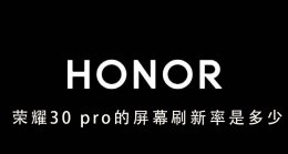 荣耀30 pro的屏幕刷新率是多少 荣耀30 pro+的屏幕刷新率是多少