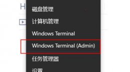win11卓越模式开启 win11卓越模式开启方法