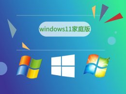 win11家庭版和专业版的区别介绍 windows11家庭版和专业版的区别