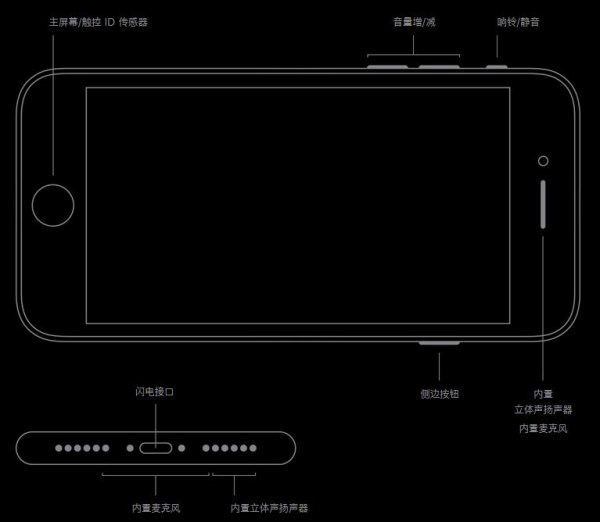 苹果发布新款iPhone SE 价格低到拒绝不了