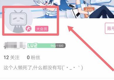 哔哩哔哩自动续费关闭教程