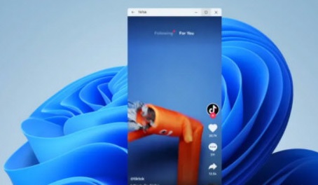 windows11看抖音教程详细介绍