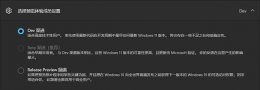 win11从dev渠道换Beta渠道的教程