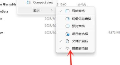 win11隐藏文件打开方法