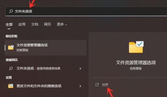 win11隐藏文件打开方法