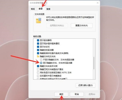 win11隐藏文件打开方法