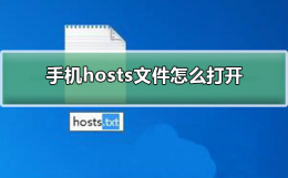 手机hosts文件怎么打开 手机hosts管理应用下载