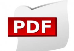 win11打开pdf文件出现bug的解决教程