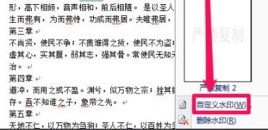 word水印添加教程