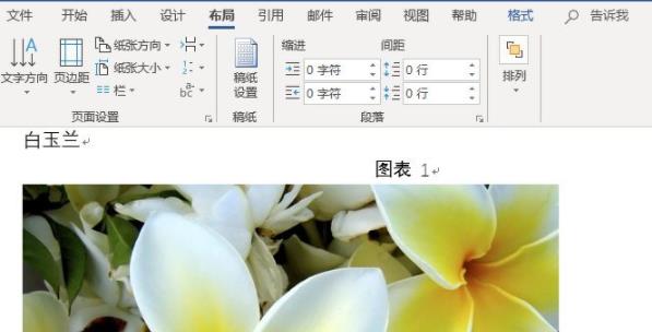 word图片统一调整大小教程