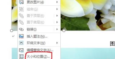 word图片统一调整大小教程