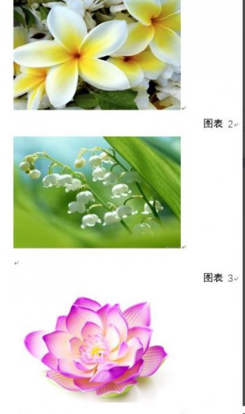 word图片统一调整大小教程