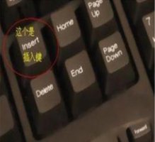 word文档打字时会消掉后面字解决教程 word2016文档打字时会消掉后面字