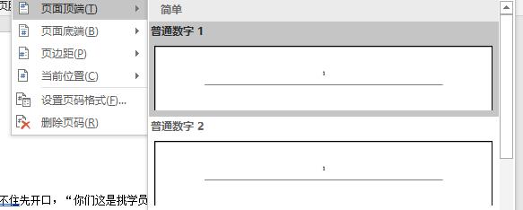 word页码设置方法
