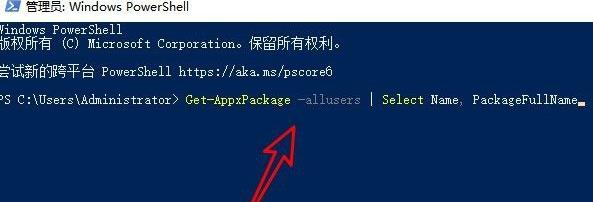 win11应用商店点了没反应解决教程