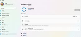 有win11吗 win11支不支持win10软件详细介绍
