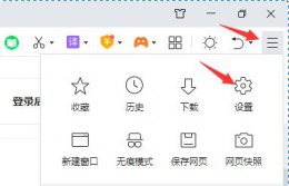 360浏览器崩溃怎么办 360浏览器老是崩溃解决教程