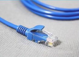 win11没有网络解决教程 win 11连接不起来网络怎么办