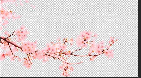 photoshop背景颜色改变方法