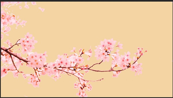 photoshop背景颜色改变方法